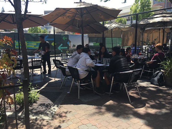 🍽️ Redwood City Local Recommended Restaurants✨ 12