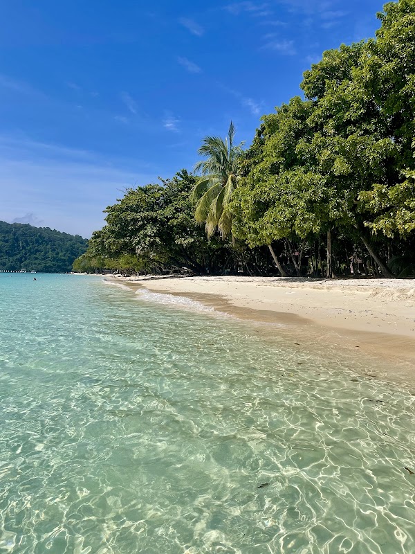 Koh Rok Yai Beach 5
