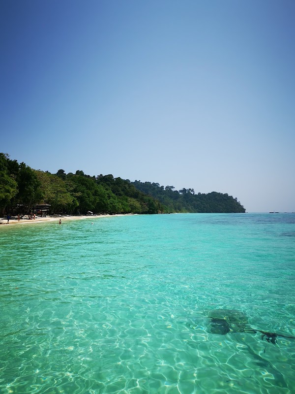Koh Rok Yai Beach 4