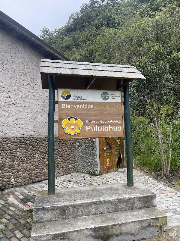 Pululahua Geobotanical Reserve 4