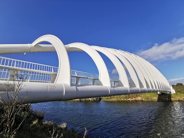 Te Rewa Rewa Bridge 5