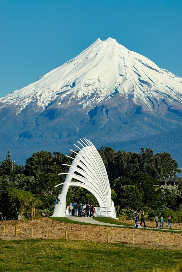 Te Rewa Rewa Bridge 2
