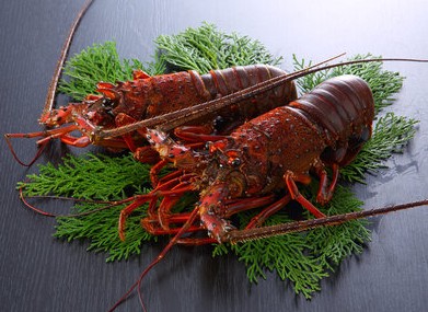 Kobe Beef WANOMIYA Dotonbori Main Store 5