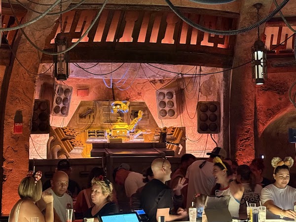 Oga's Cantina at the Walt Disney World Resort 3