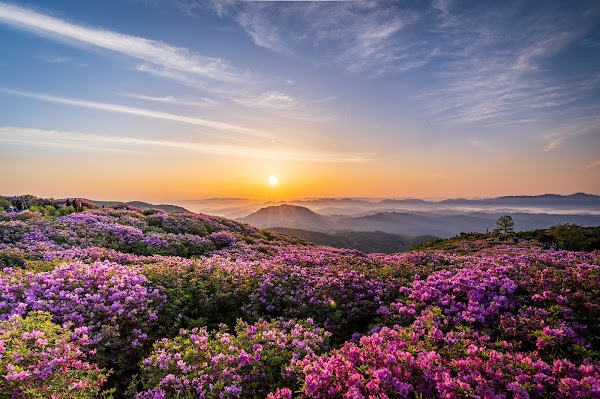 Hwangmaesan County Park 1