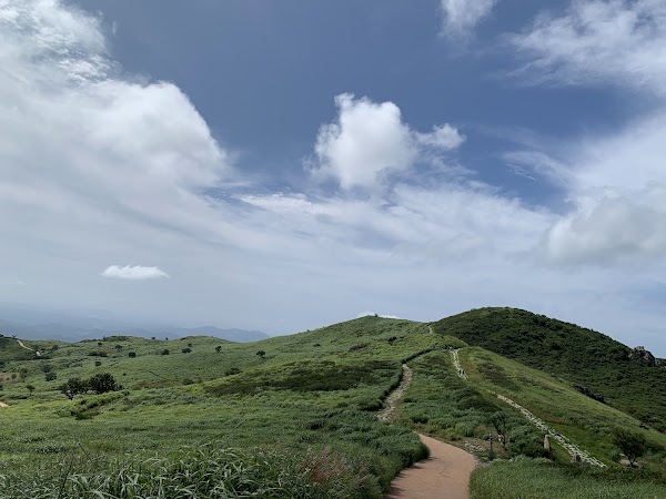 Hwangmaesan County Park 4