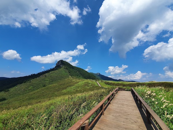 Hwangmaesan County Park 3