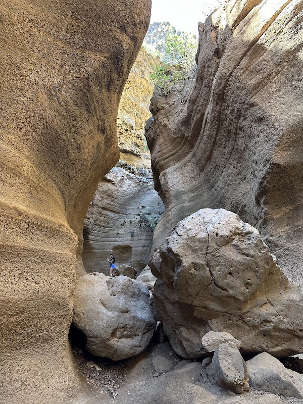 Barranco de las Vacas