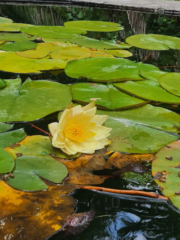UNAM Botanical Garden 4
