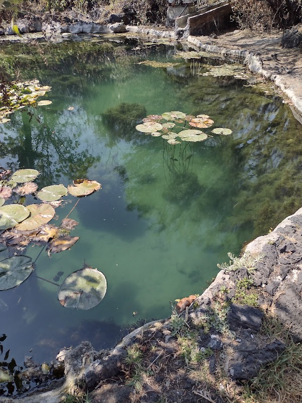 UNAM Botanical Garden 3