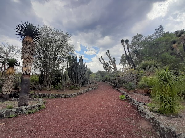 UNAM Botanical Garden 2