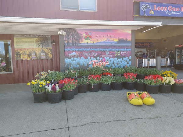 Wooden Shoe Tulip Farm