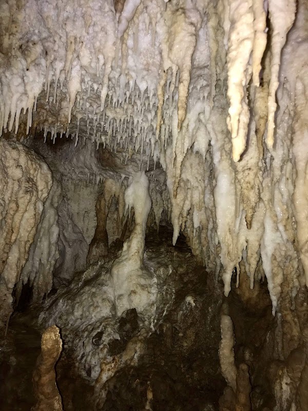 Sambulawan Underground River 4