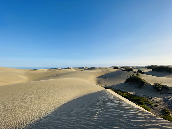 Dunas de Maspalomas 1