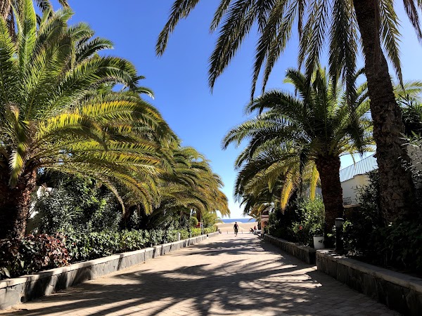 Dunas de Maspalomas 4