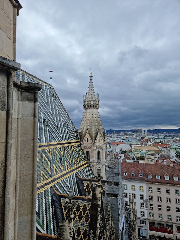 St. Stephen's Cathedral 4