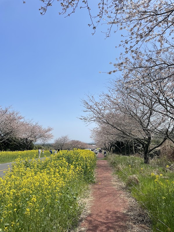 Noksan-ro