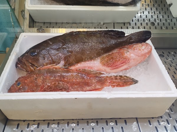 Artemis Tavern Lavrio Sounio 5