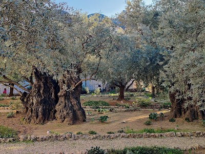 Gethsemane