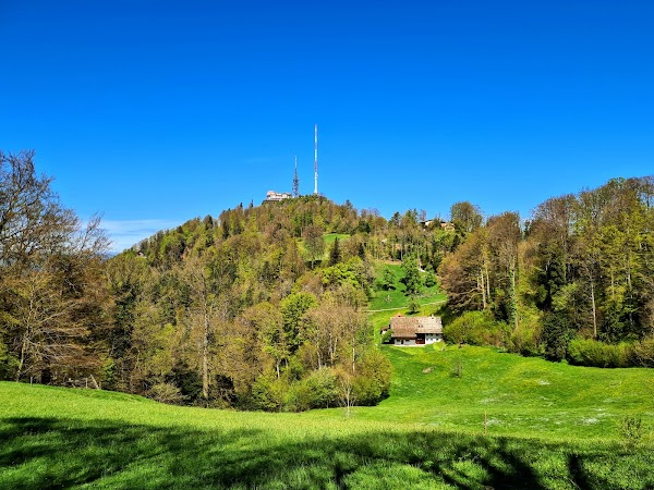 Uetliberg 6