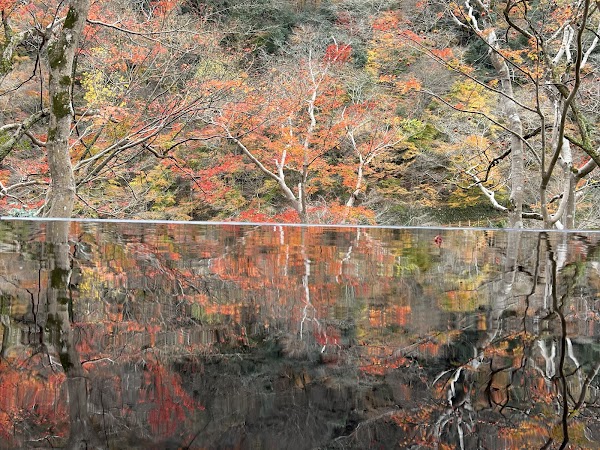 Arashiyama Yusai-Tei Gallery 4