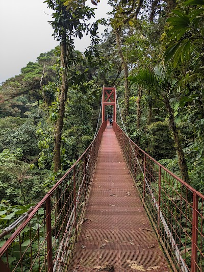 Monteverde Cloud Forest Biological Preserve 1