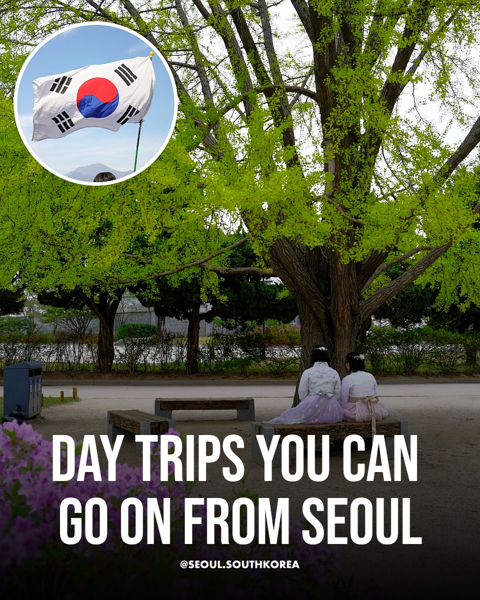 Seoul 🇰🇷 서울 여행 가이드 Travel | Hotels | Food | Tips, Incheon
