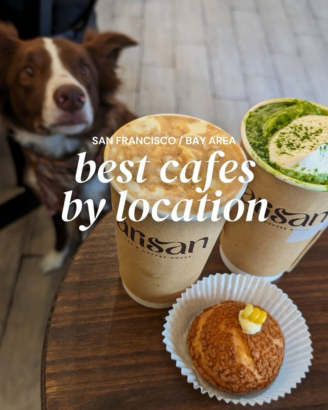 Dog Friendly Things & Travel 📍SF Bay Area, Bloomsgiving