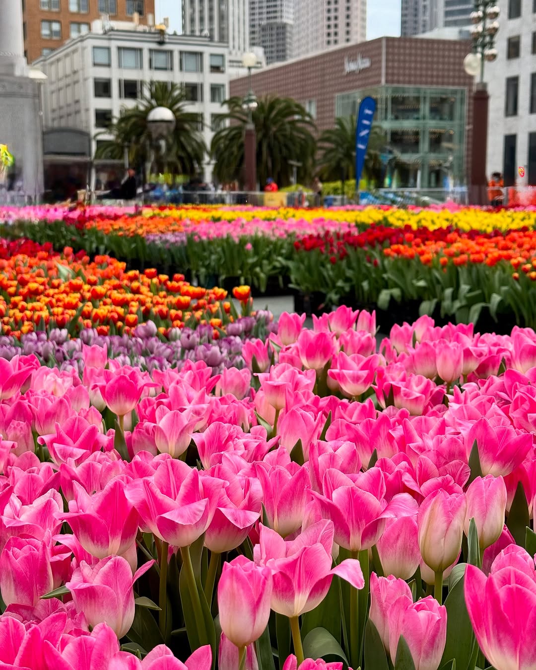 Manni | Travel | San Francisco | Bay Area, Union Square