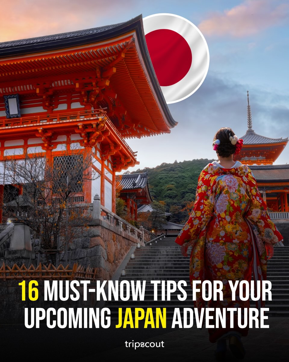 Tripscout | DMO Social Media Marketing Solutions, Meiji Jingu