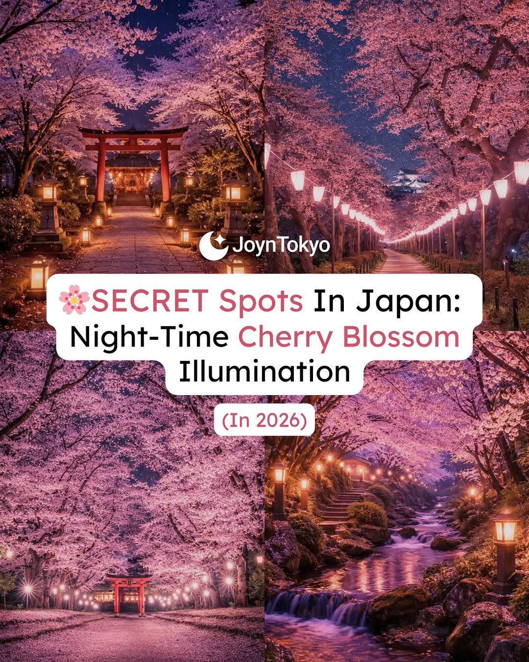 JoynTokyo, Maruyama Park