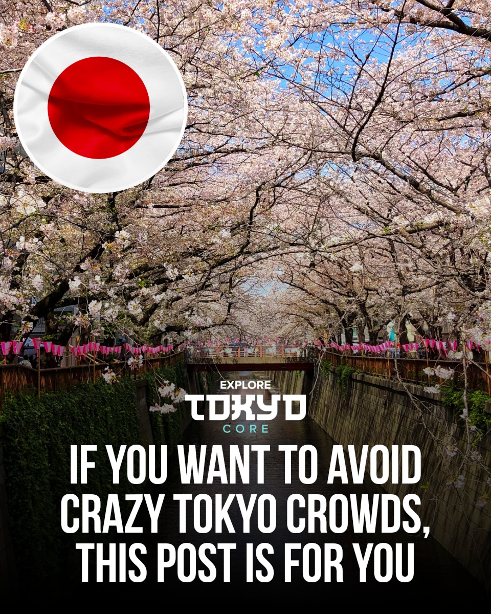 Tokyo, Japan🇯🇵 东京 Travel | Hotels | Food | Tips 🗼, Shimokitazawa