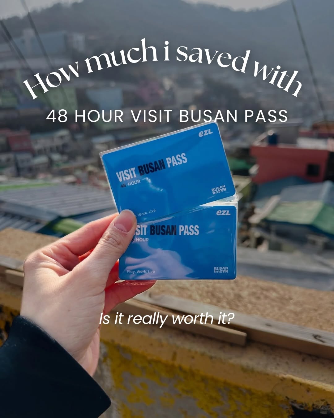 ivy ❀ | travel & food creator, Busan