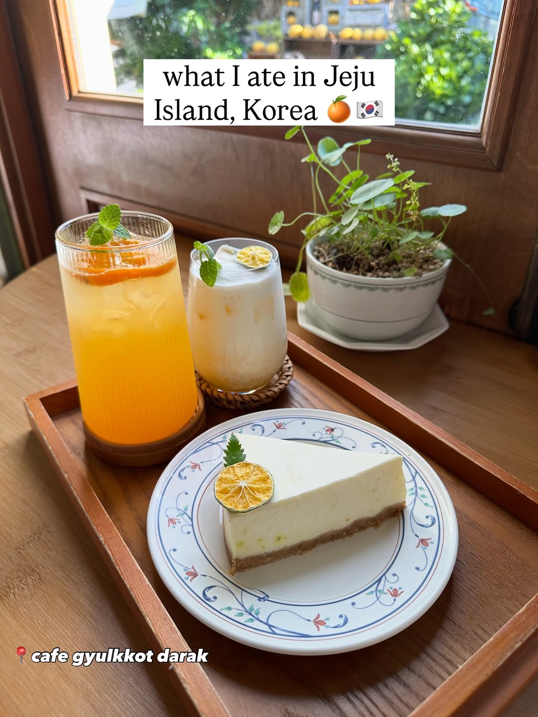 Iris Lo, Seogwipo Olle Market