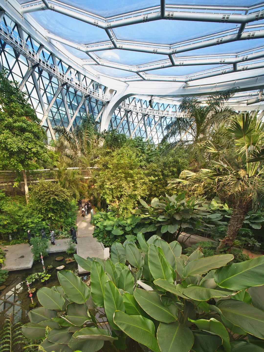 서울시 Seoul City, Seoul Botanic Park
