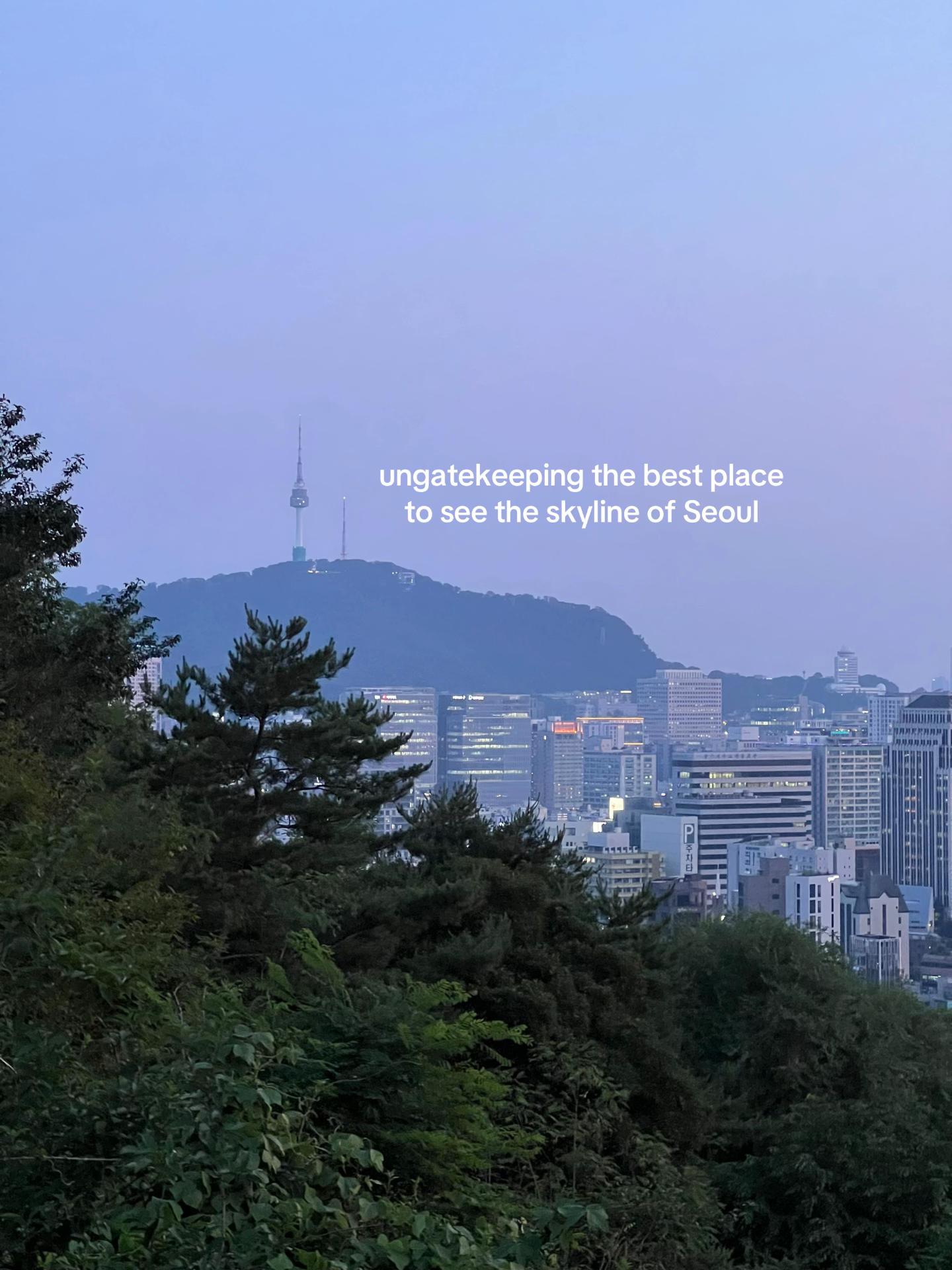 🐟, N Seoul Tower