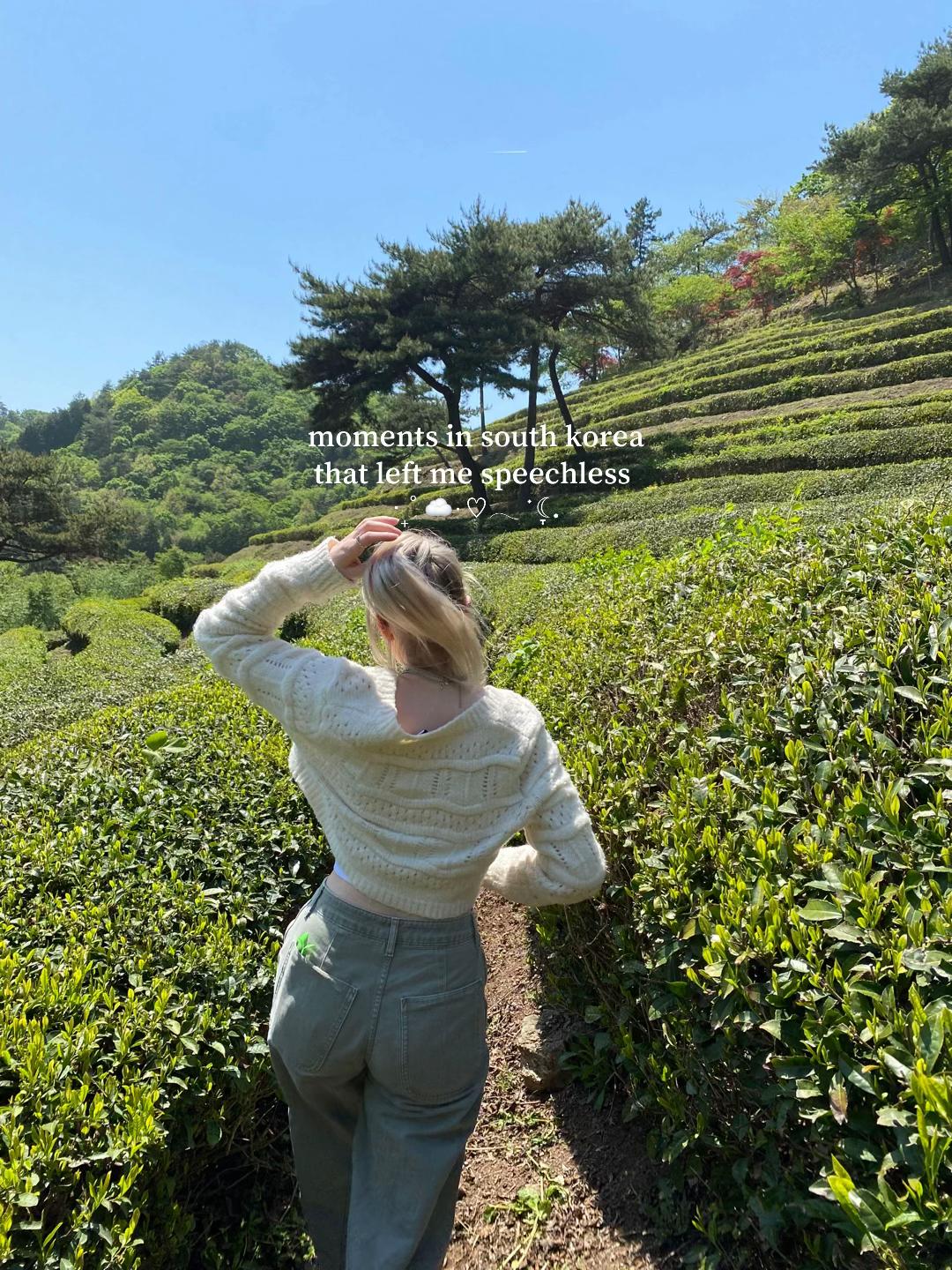 ✩⋆Holly⋆✧, Juknokwon (Bamboo Forest)