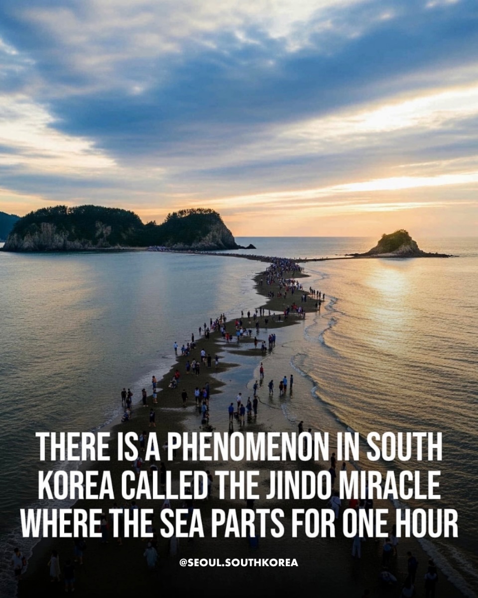Seoul π°π· μμΈ μ¬ν κ°μ΄λ Travel | Hotels | Food | Tips, Jindo