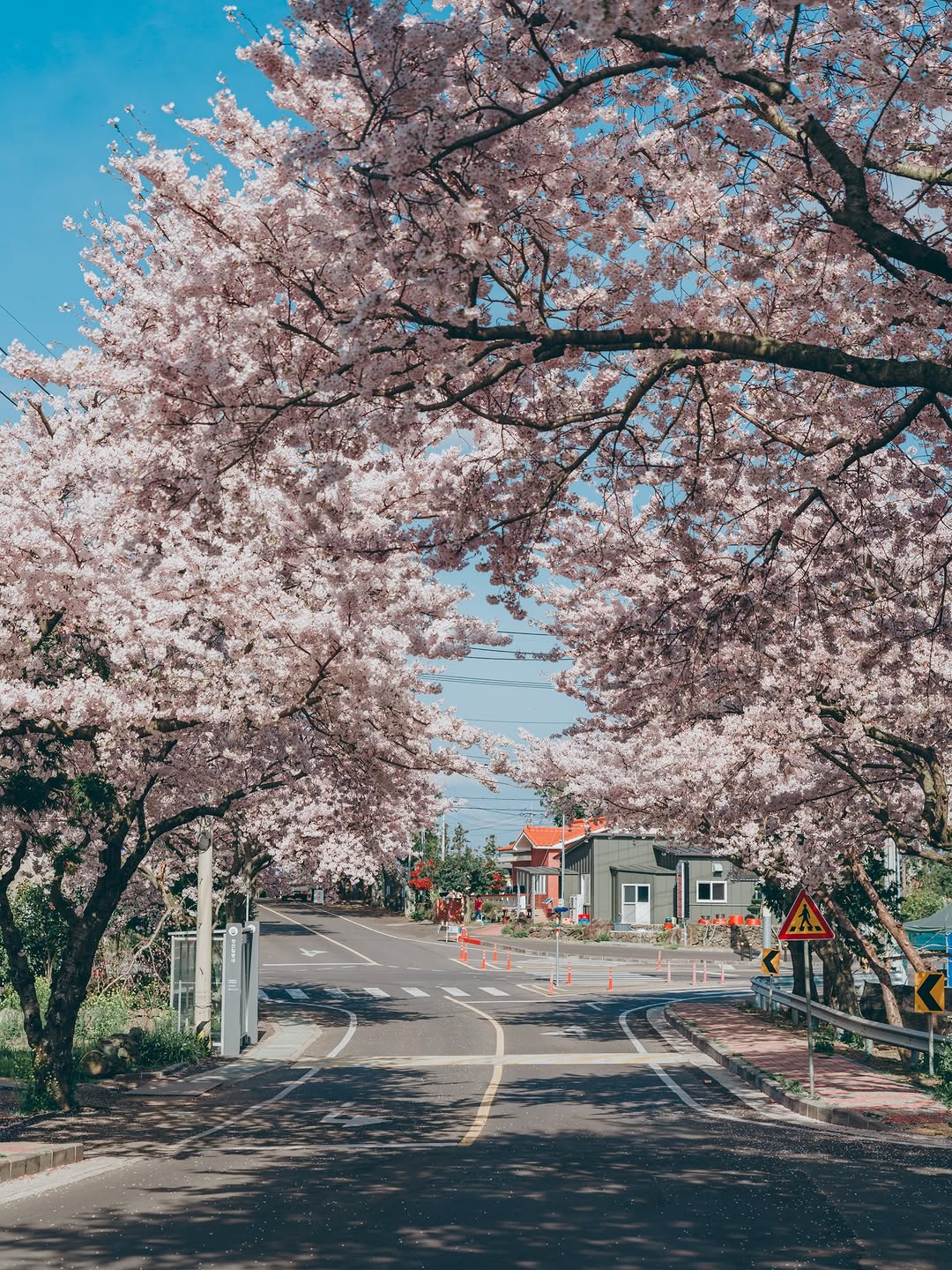 노픽, Samseonghyeol