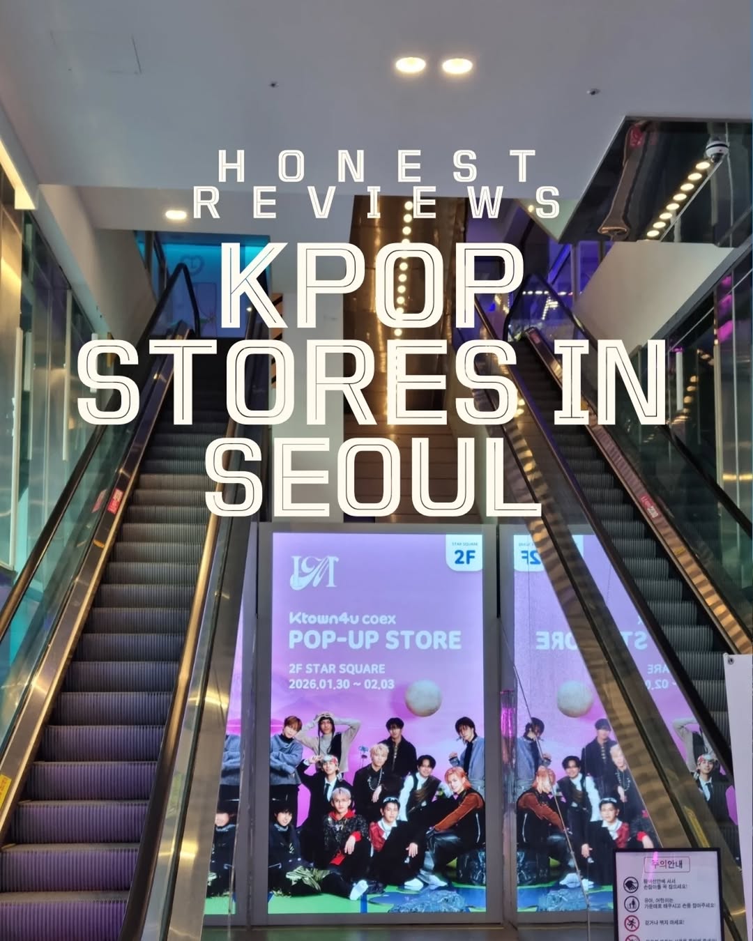 Jae One Han - Korean Tour Guide, Myeong-dong