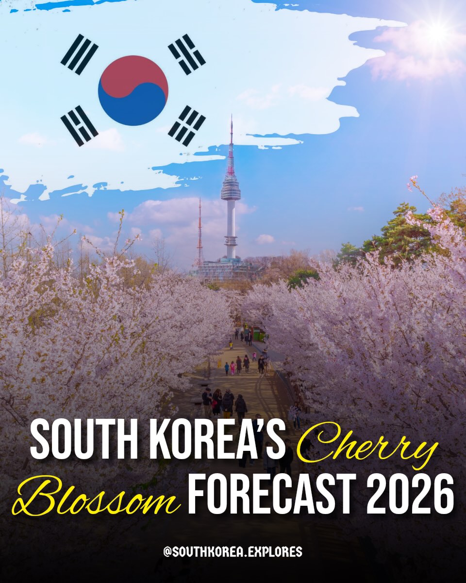 South Korea 🇰🇷 | Travel | Hotels | Food | Tips, Taejongdae Resort Park, Busan
