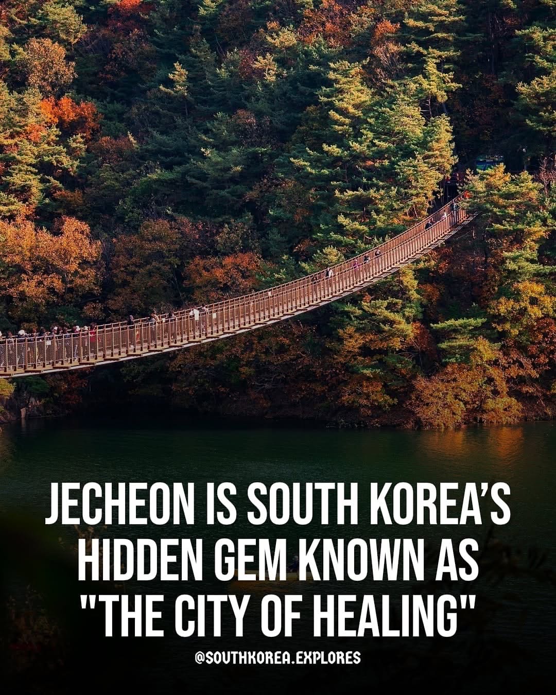 South Korea 🇰🇷 | Travel | Hotels | Food | Tips, Cheongpung Lake Monorail