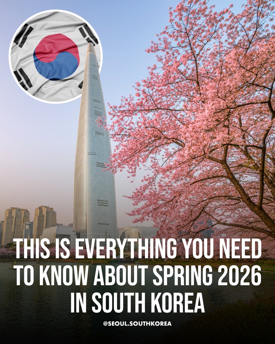 Seoul 🇰🇷 서울 여행 가이드 Travel | Hotels | Food | Tips, Gyeongbokgung Palace