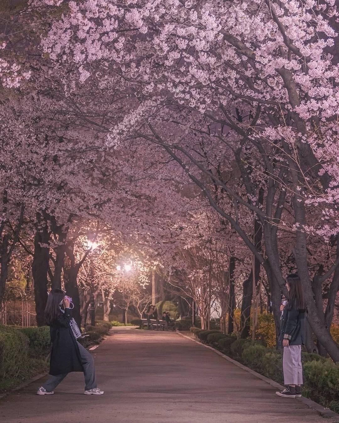 Korea Undiscovered, LOTTE WORLD TOWER
