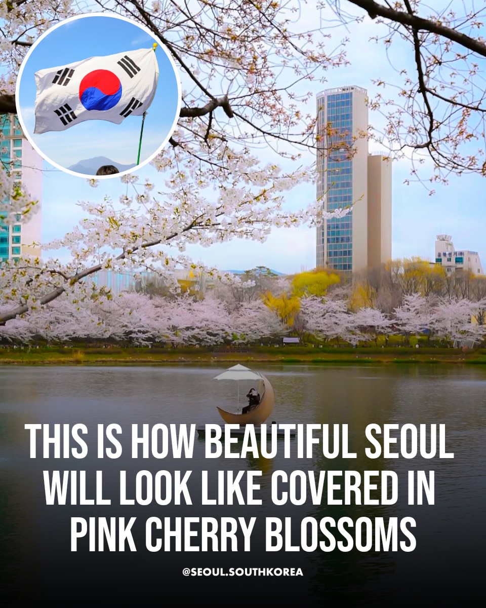 Seoul 🇰🇷 서울 여행 가이드 Travel | Hotels | Food | Tips, N Seoul Tower