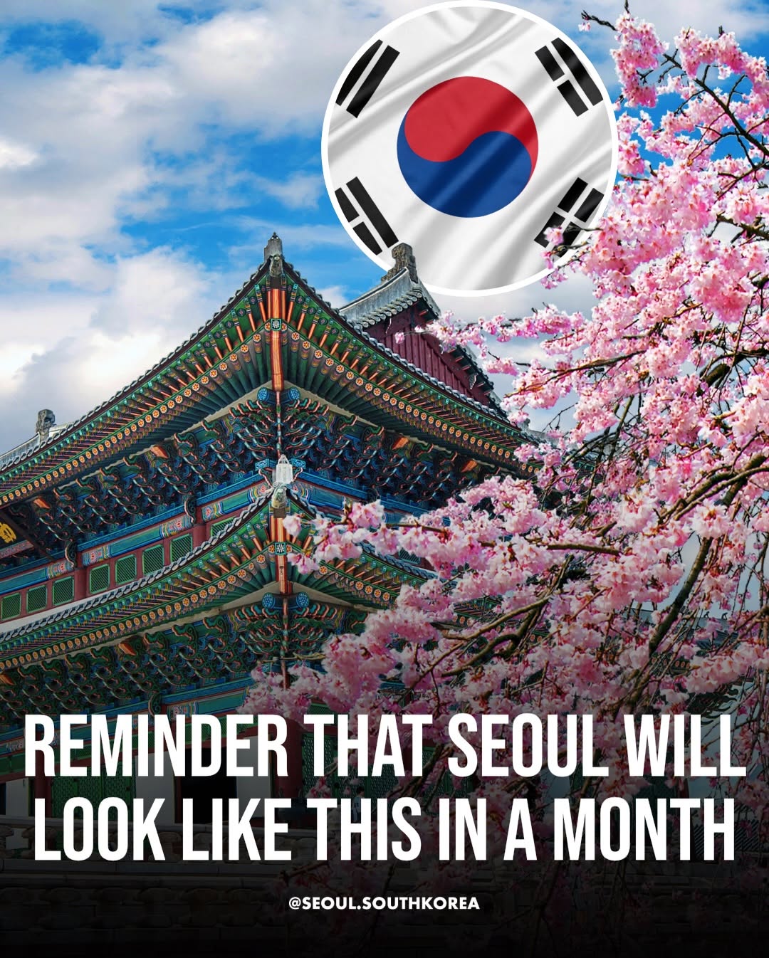 Seoul 🇰🇷 서울 여행 가이드 Travel | Hotels | Food | Tips, Gyeongbokgung Palace