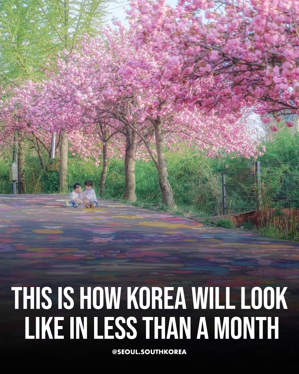 Seoul 🇰🇷 서울 여행 가이드 Travel | Hotels | Food | Tips, Seoul