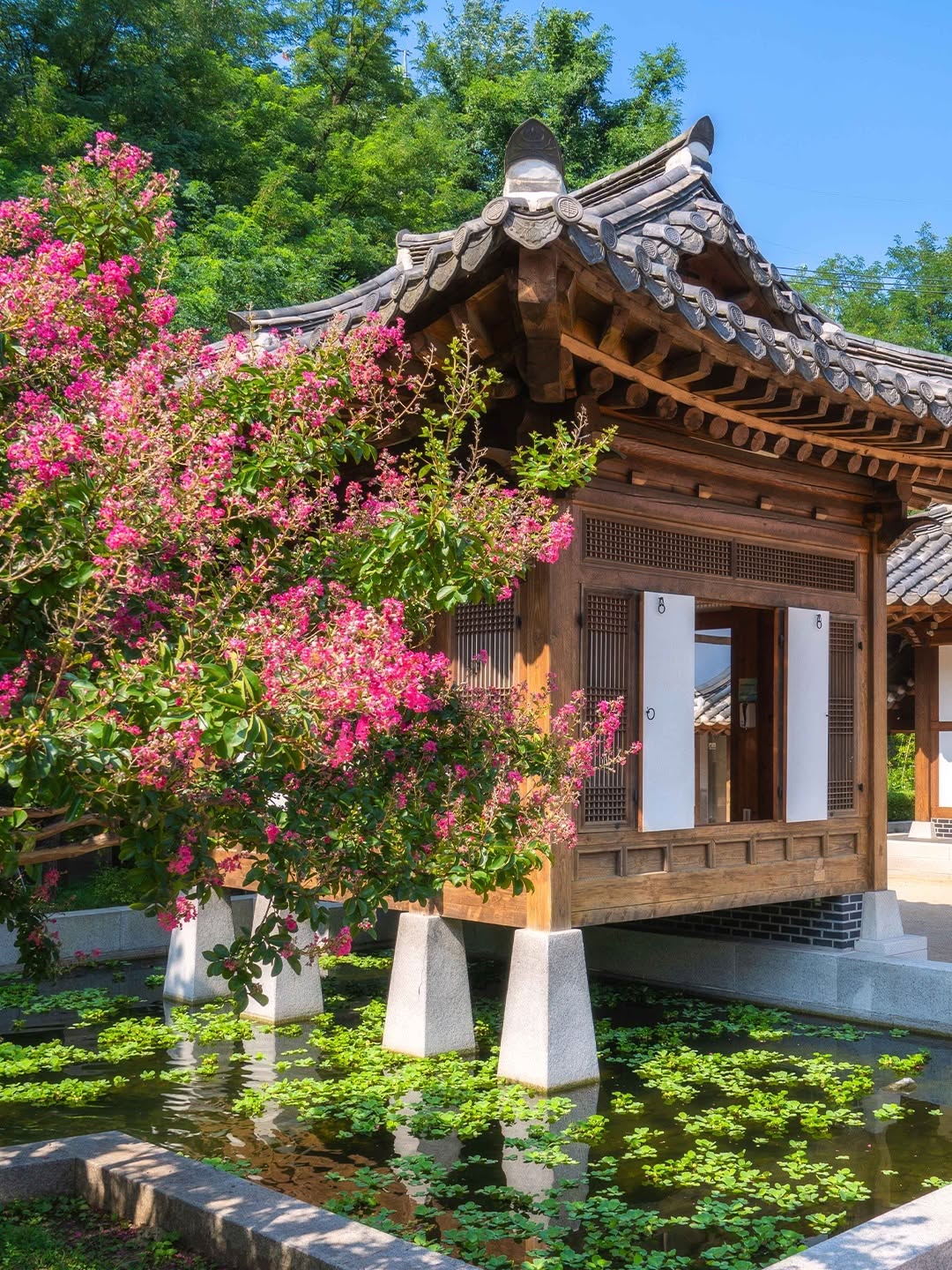 Korea Tourism Org. USA, 청운문학도서관