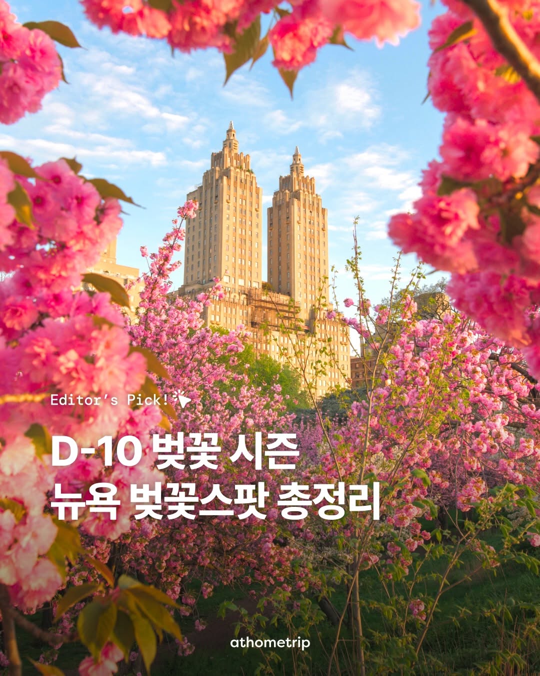 뉴욕•칸쿤 여행의 모든 것, 앳홈트립, Central Park