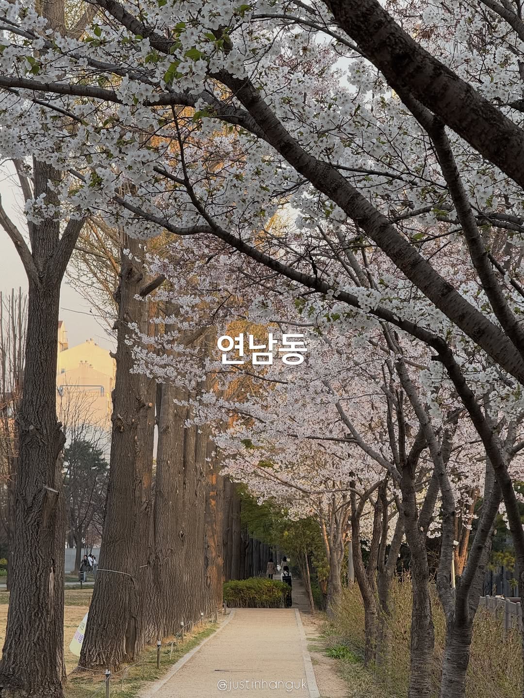 JustInHanguk, Gyeongui Line Forest Park